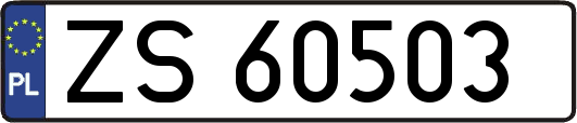 ZS60503