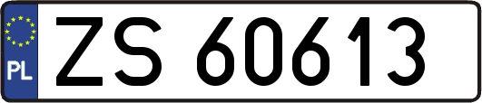 ZS60613