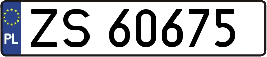 ZS60675