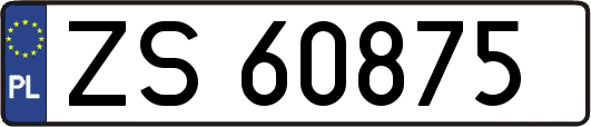 ZS60875