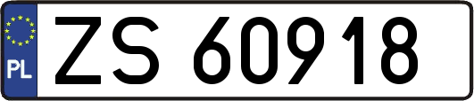 ZS60918