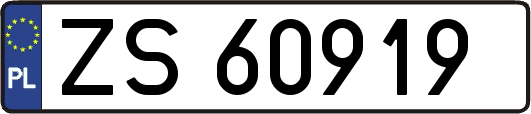 ZS60919