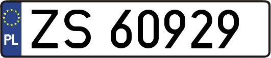 ZS60929