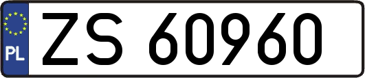 ZS60960