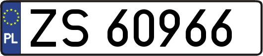 ZS60966