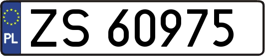 ZS60975