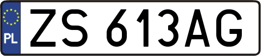 ZS613AG