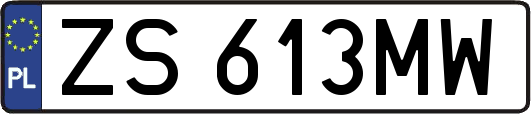 ZS613MW