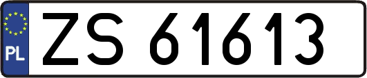 ZS61613