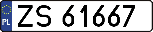 ZS61667