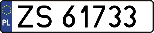 ZS61733