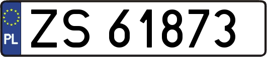 ZS61873