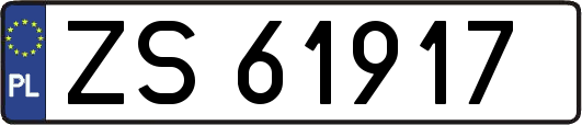 ZS61917