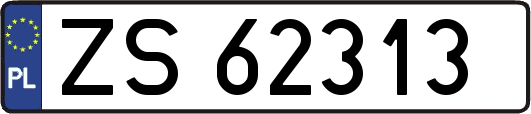 ZS62313