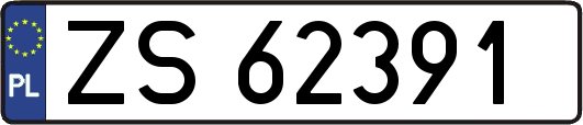ZS62391