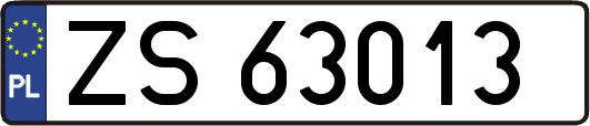 ZS63013