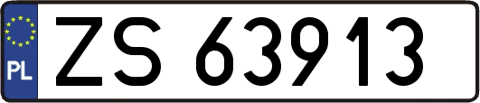 ZS63913