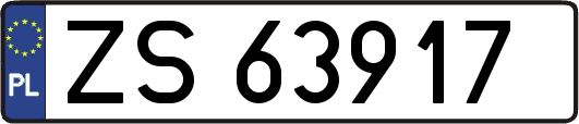ZS63917
