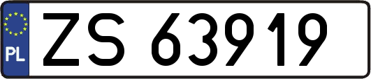 ZS63919