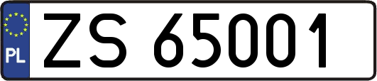 ZS65001