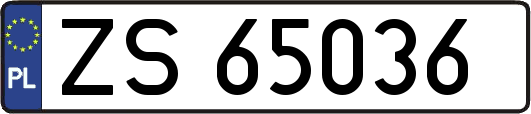 ZS65036