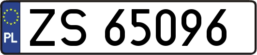 ZS65096