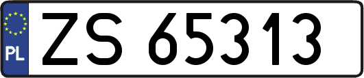ZS65313