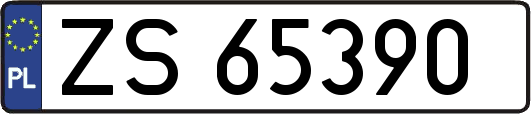 ZS65390
