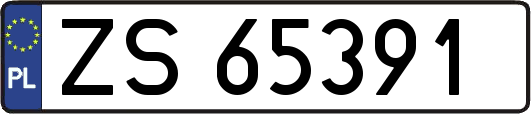 ZS65391