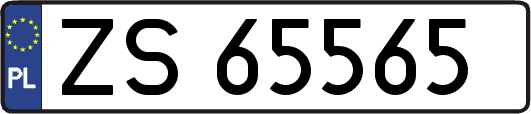 ZS65565