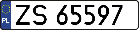 ZS65597