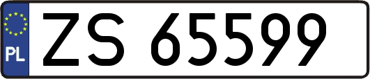 ZS65599