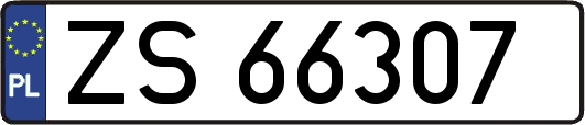 ZS66307