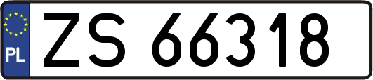 ZS66318