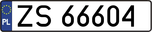 ZS66604
