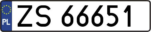 ZS66651
