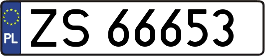 ZS66653
