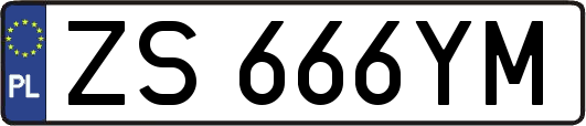 ZS666YM