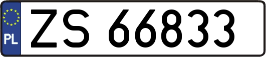 ZS66833
