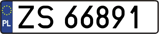 ZS66891
