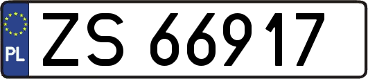 ZS66917