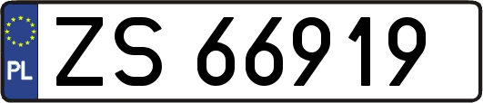 ZS66919