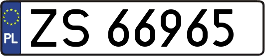 ZS66965