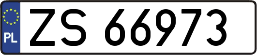 ZS66973