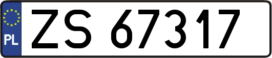 ZS67317
