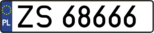 ZS68666