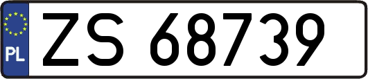 ZS68739