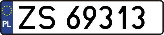 ZS69313