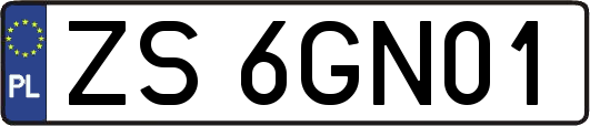 ZS6GN01
