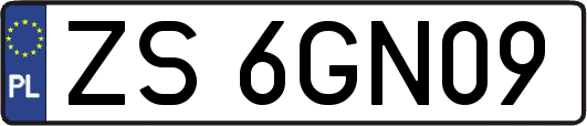 ZS6GN09
